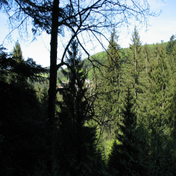 Black Forest  Picture 013.jpg